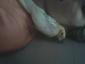 Imagen de Yessi