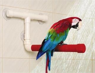 Percha para ducha Percha para ducha