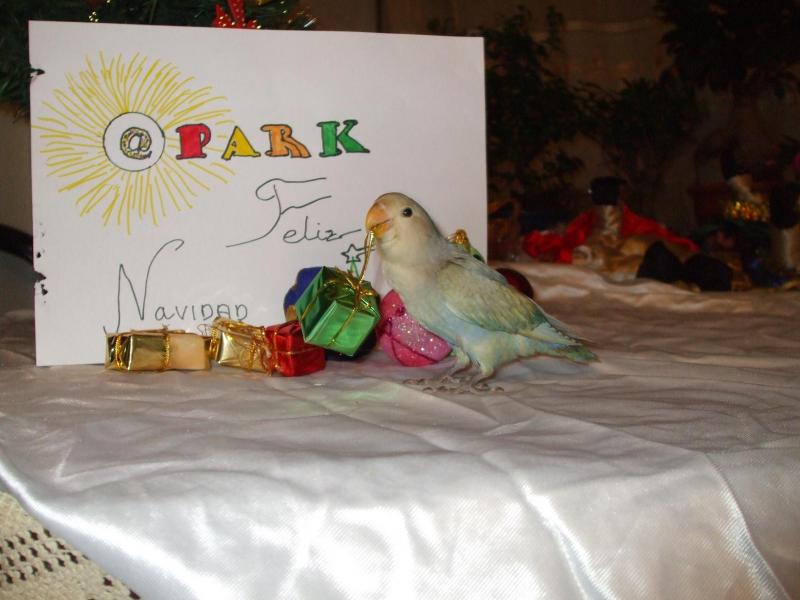 DSCF2468.JPG