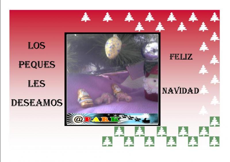 Publicación1.jpg