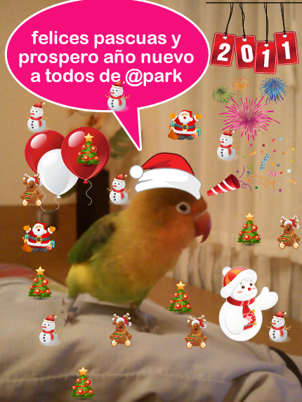 navidad.png