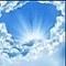 Imagen de Bryon26