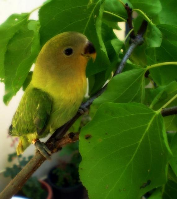 Mi peque Atenea! Mi peque Atenea!