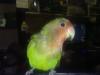 PIKI YA TIENE 5 MESES