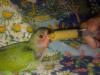 Mi Piqui sigue creciendo