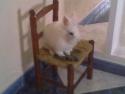 tambor
