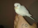que cositaa