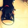 Bruno
