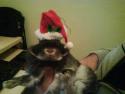 cönil os desea feliz navidad