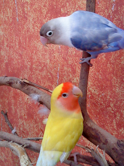 kira y jessy