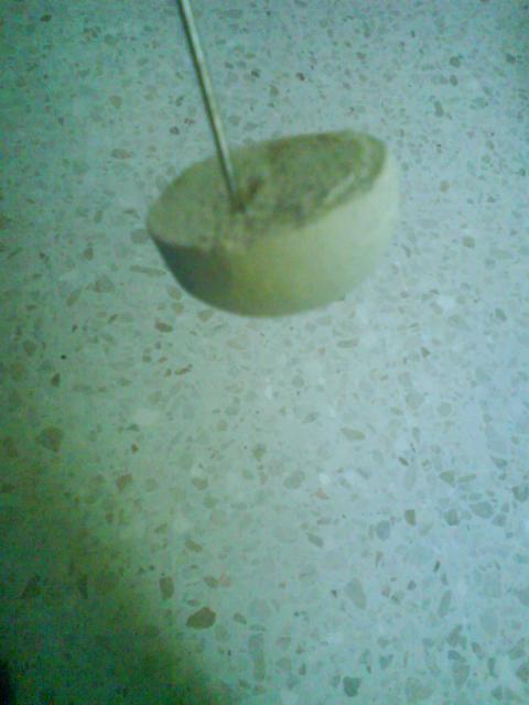 es esto un hueso de sepia?