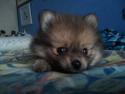 mi preciosa trufa de bebe ^^