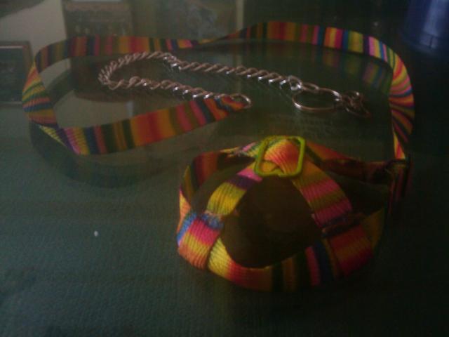 arnes para mi willi arnes para mi willi