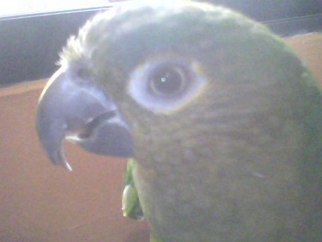 foto del pico de lola lado 2