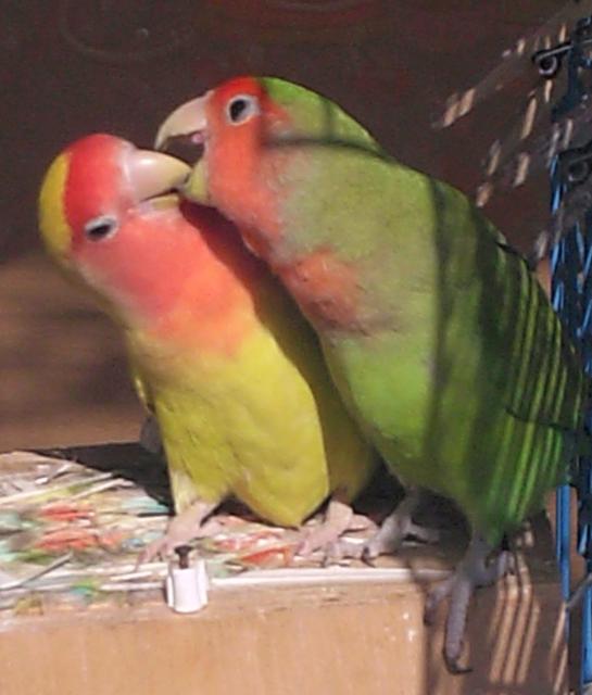 MIS NIÑOSSS!!!!