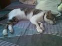 mi nena