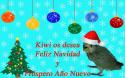 :( KIWI :(
