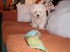 ellos jugando con el caramelo de otto
