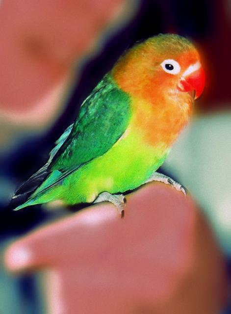 otra de RIcky"" otra de RIcky""