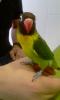 foto camilo