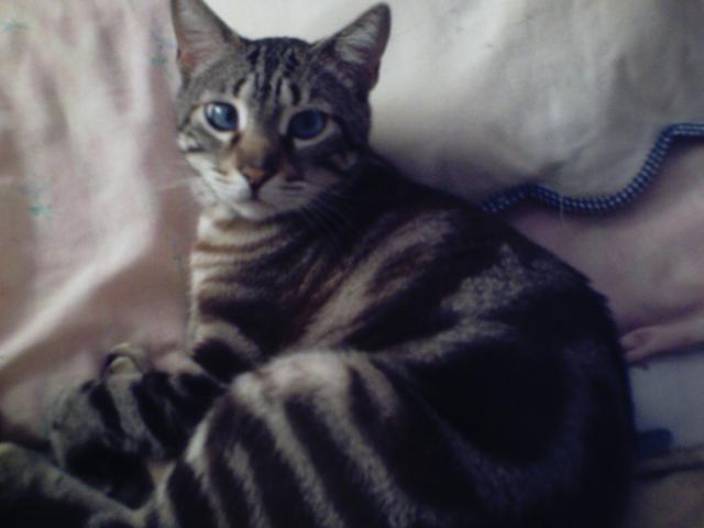 mi nene