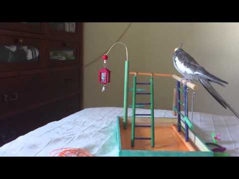 See video