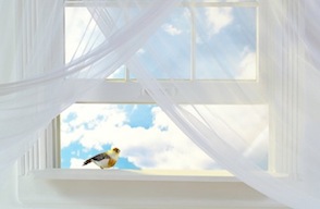 Ventana abierta