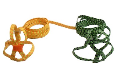 Arnes para agapornis